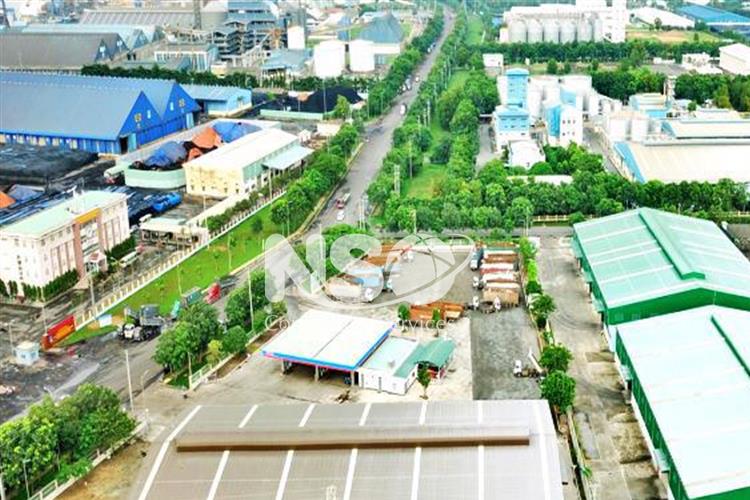 Factory for lease in Phu My industrial park, Ba Ria Vung Tau